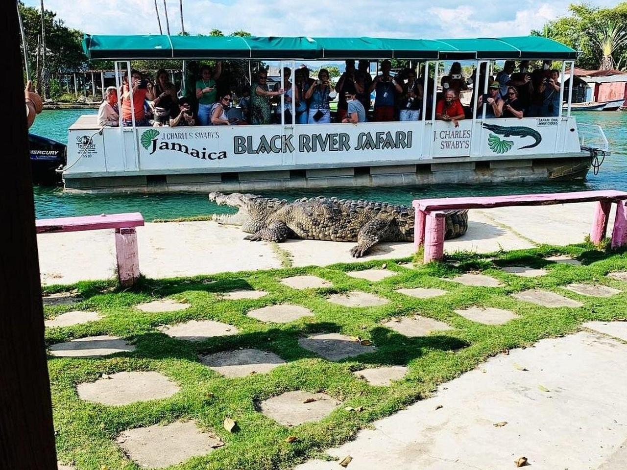 Jamaica’s Best: Rum, Safari & YS Falls Day Trip