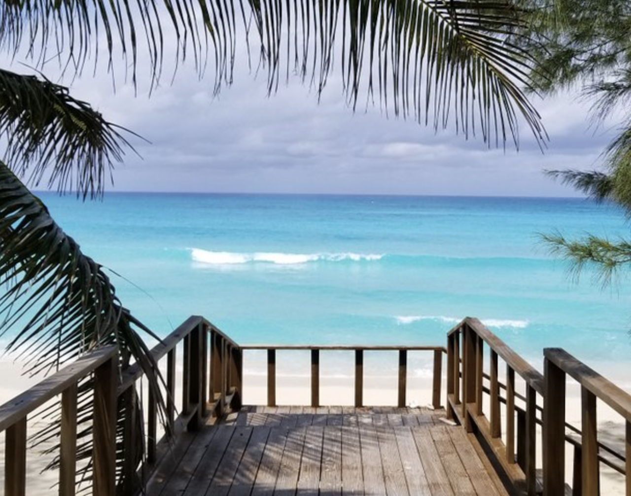 Bimini Island Express: Roundtrip Ferry & Miami Transfers