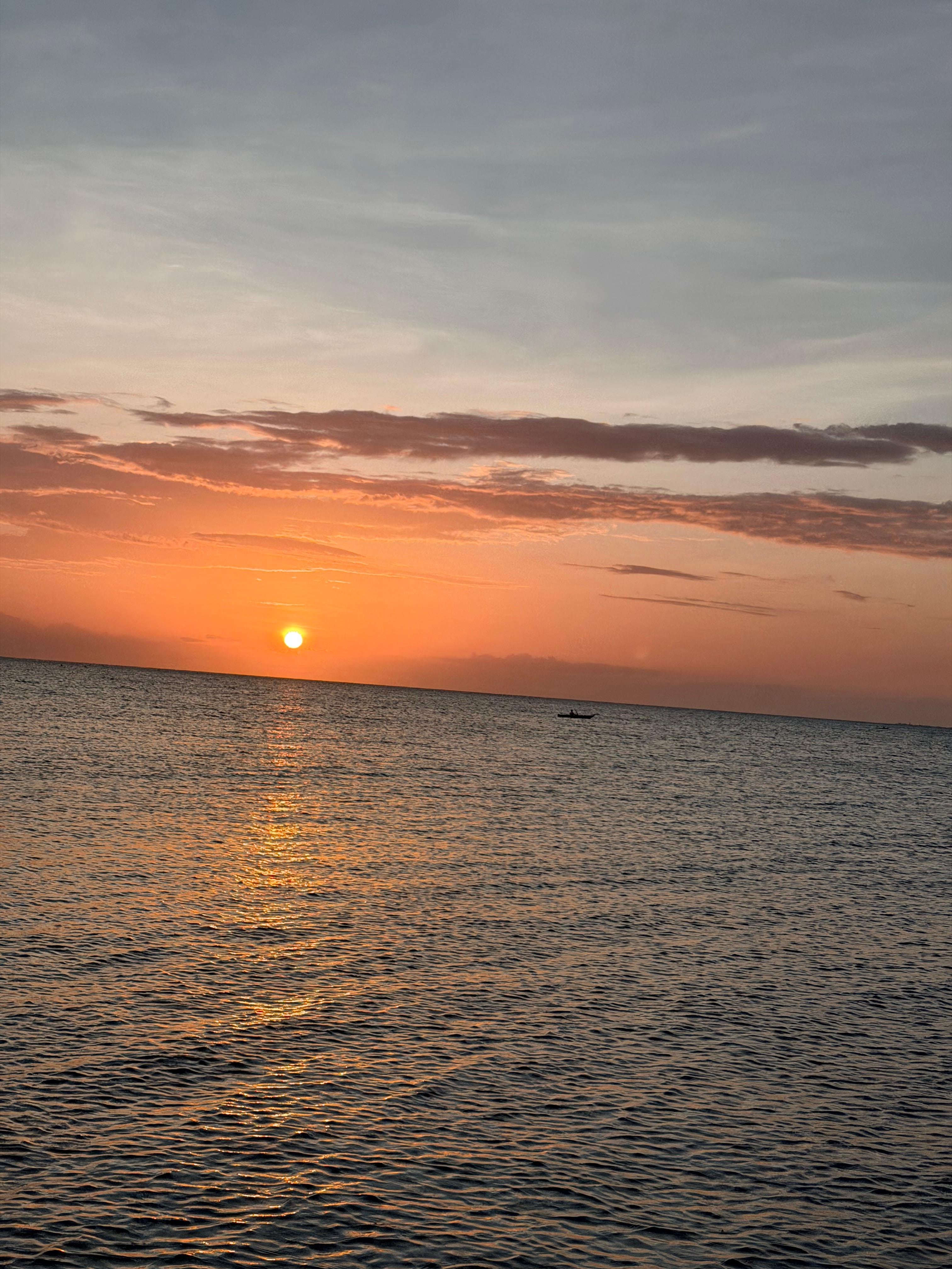 Zanzibar Sunset Dolphin Swim & Mnemba Island Snorkel Tour
