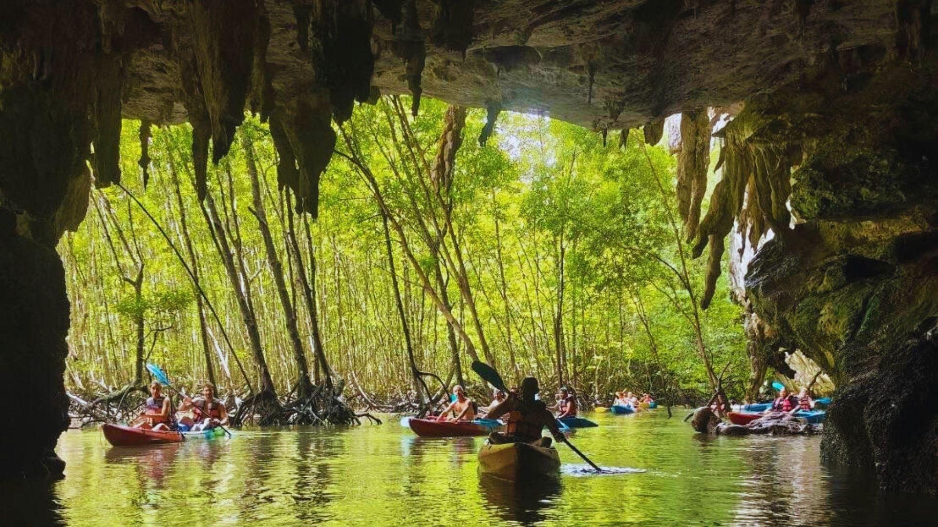 Ao Thalane Mangrove Kayak & Jungle Swim Day Tour