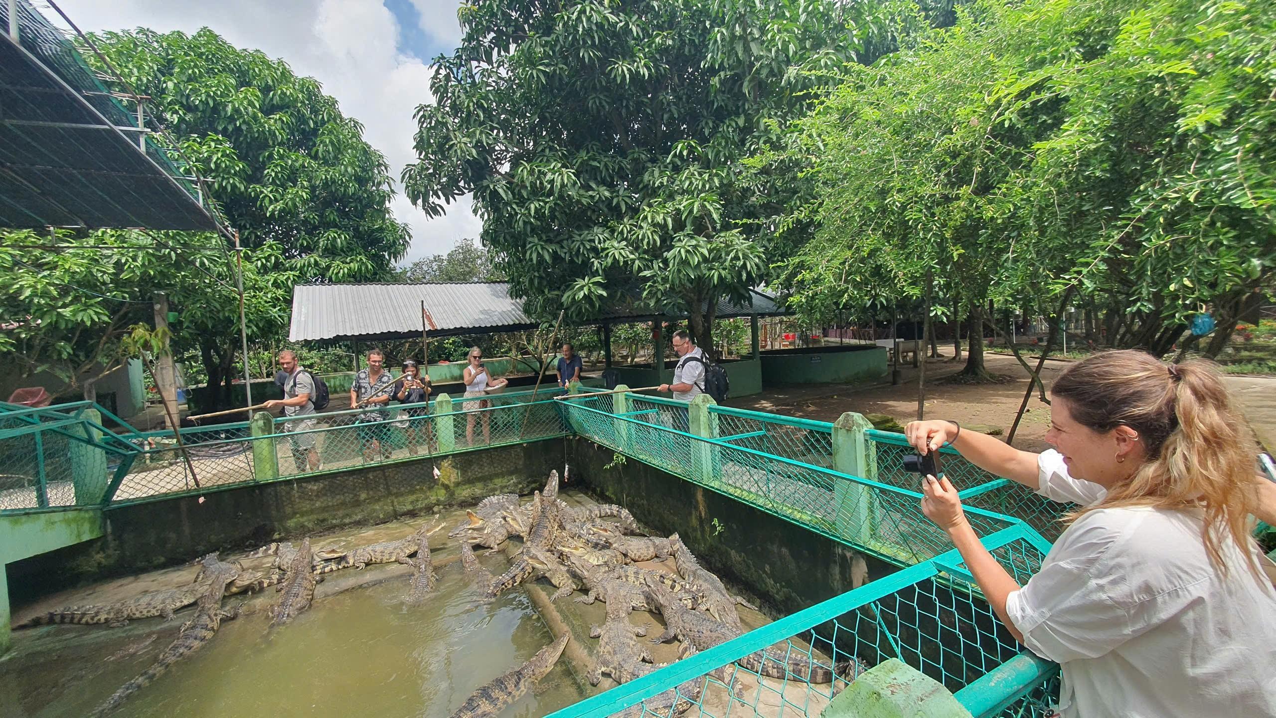 Mekong Delta & Ben Tre Village Full-Day Escape