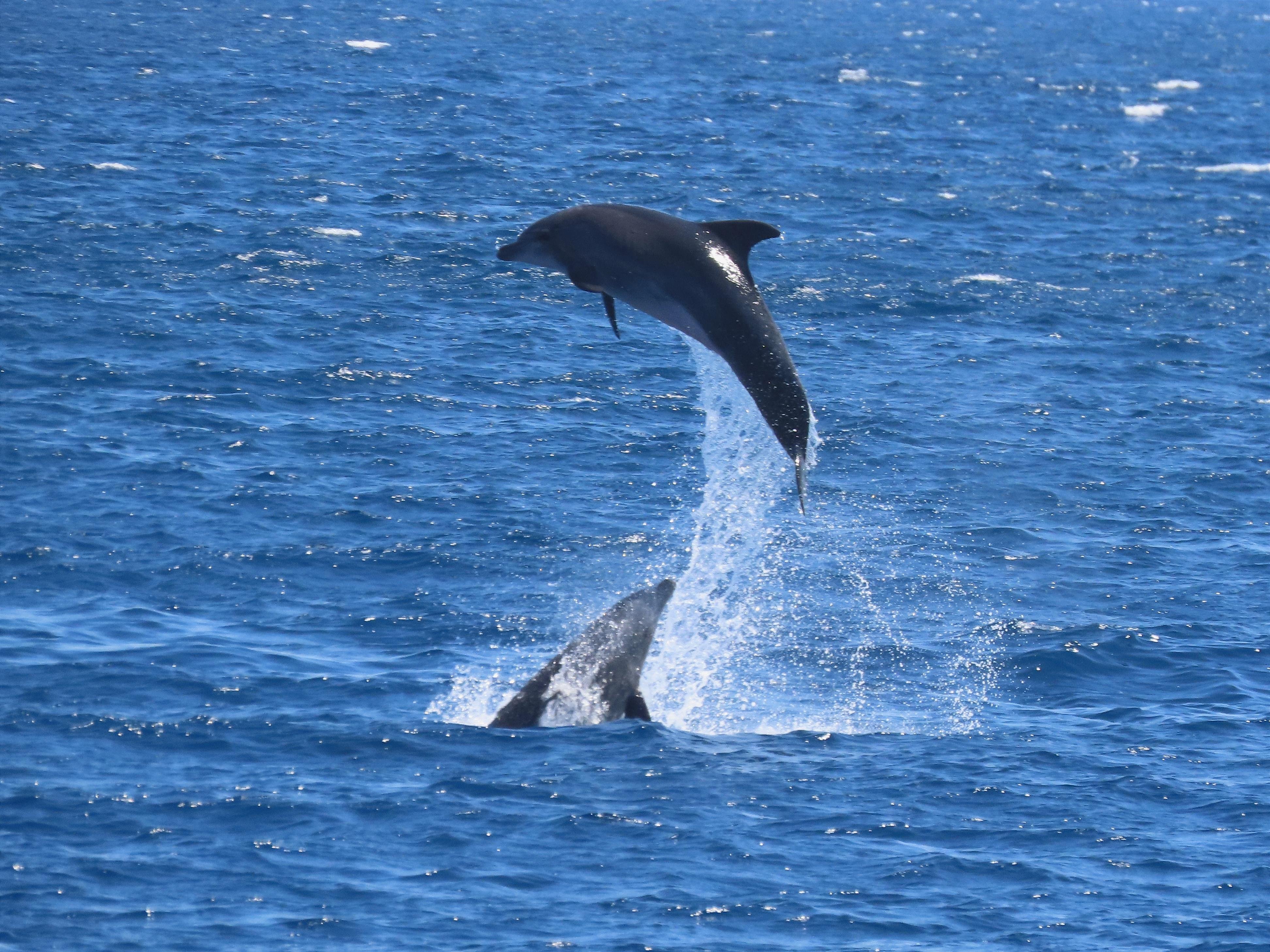 Three-Island Yacht Cruise from Kos