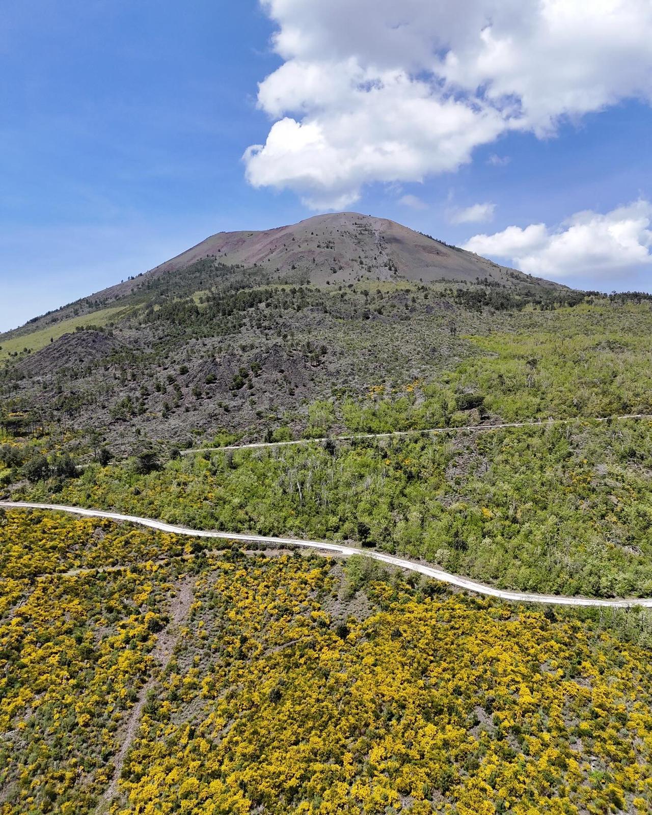 Naples: Mount Vesuvius E-Bike Tour with Crater Visit - Mount Vesuvius crater tour and Bay of Naples views