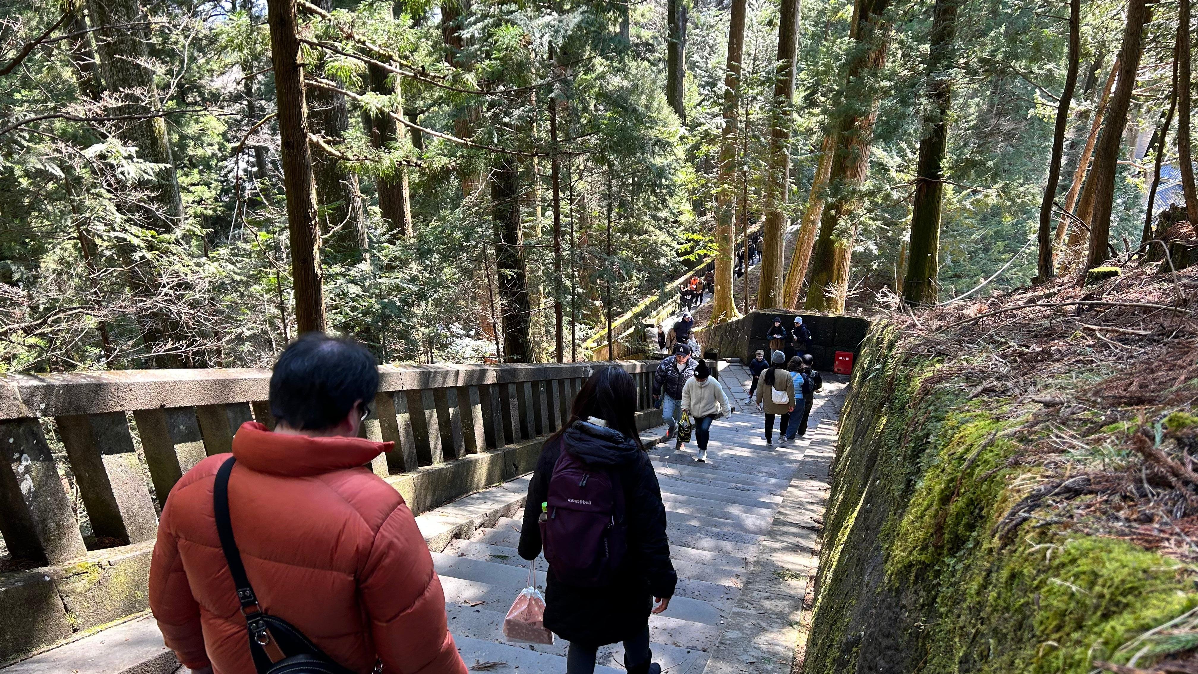 Nikko Day Trip: Toshogu Shrine, Kegon Falls & Lake Chuzenji from Tokyo
