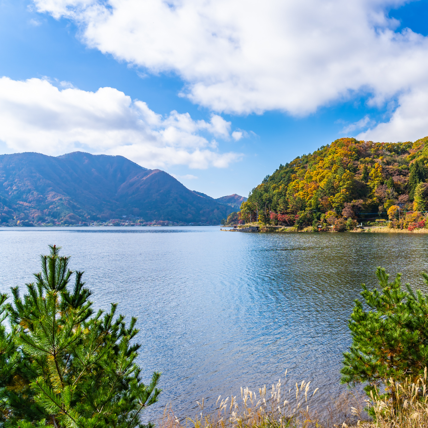 Private Nikko Day Tour from Tokyo – Fully Customizable
