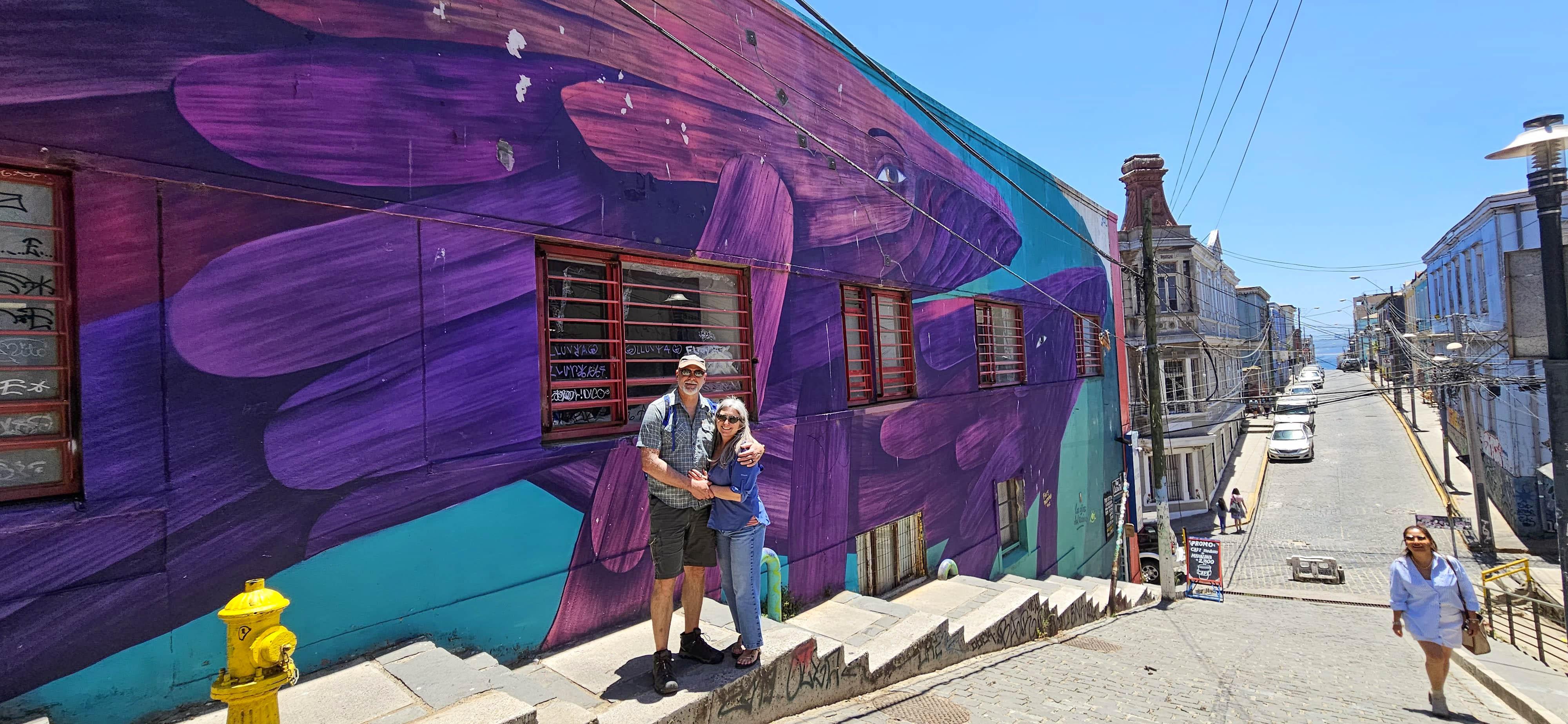 Valparaíso wine tour, the Casablanca Valley and Valparaíso's hills — image 49