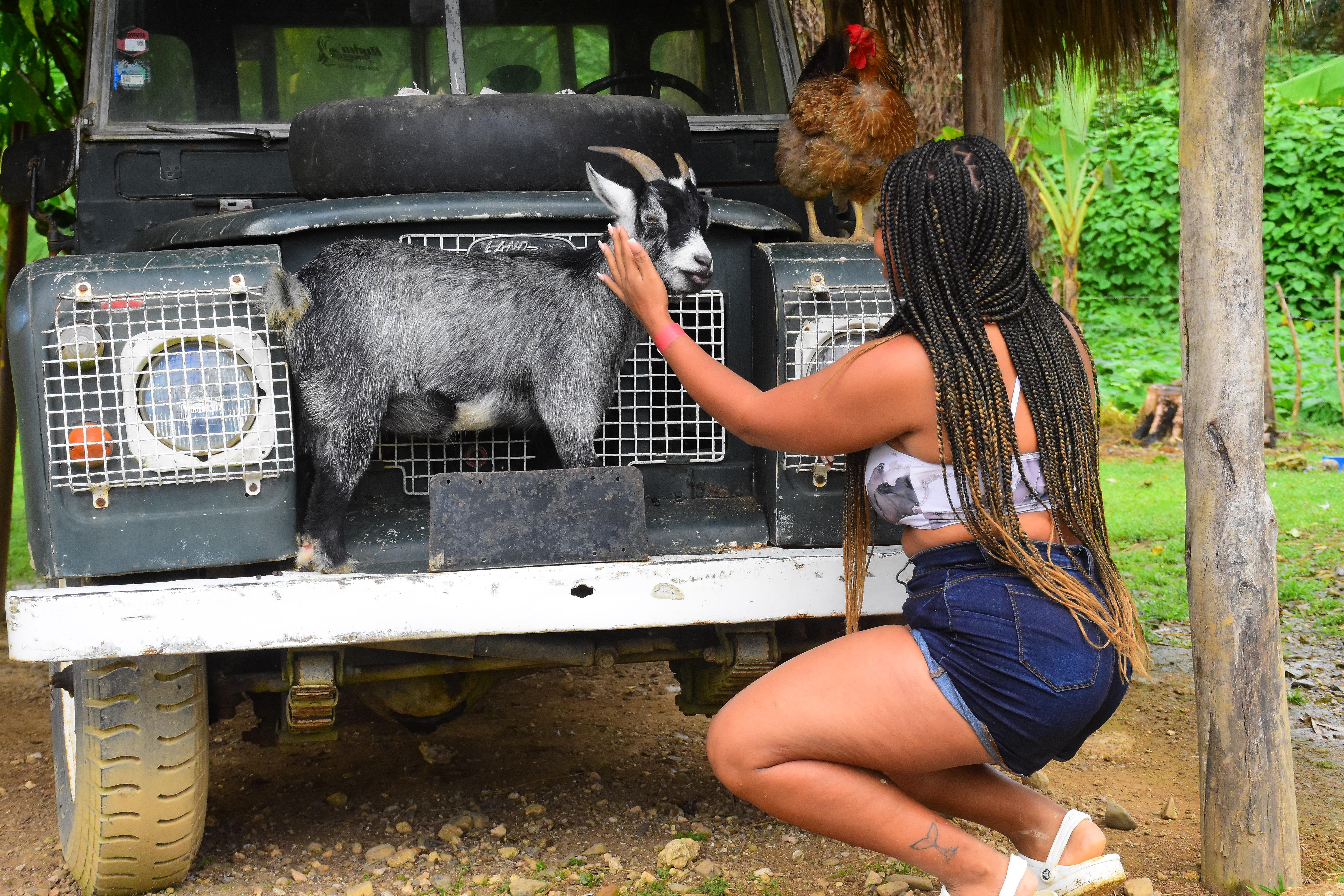 La Hacienda Park Punta Cana: Ziplines, Buggy, Chairlift & Horseback Combo