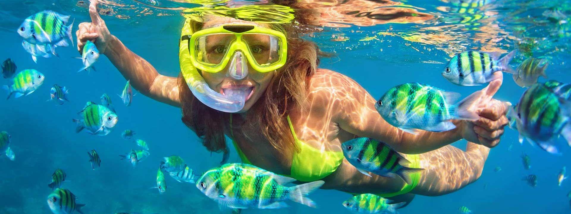 Gulf Coast Dolphin Watching & Snorkel Experience