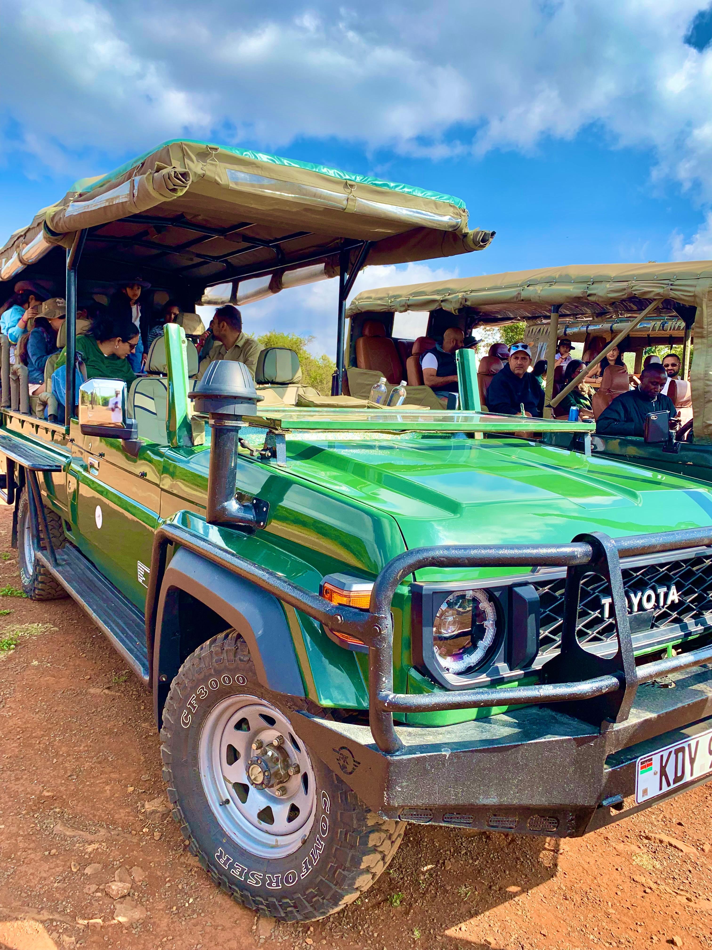 Nairobi National Park Half-Day Safari