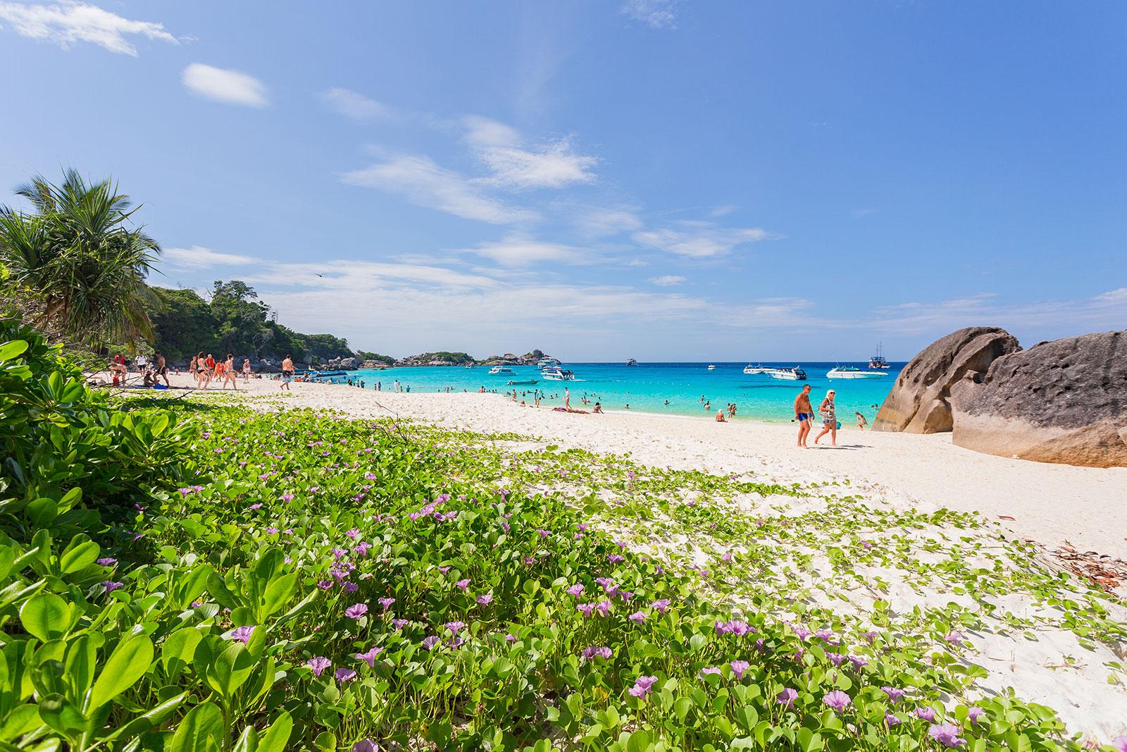 Similan Islands Full-Day Snorkeling Adventure from Khao Lak