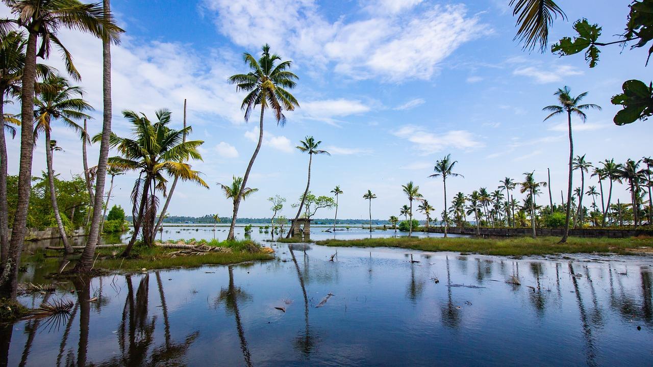 5-Day Kerala Escape: Munnar Hills, Thekkady Wildlife & Alleppey Houseboat