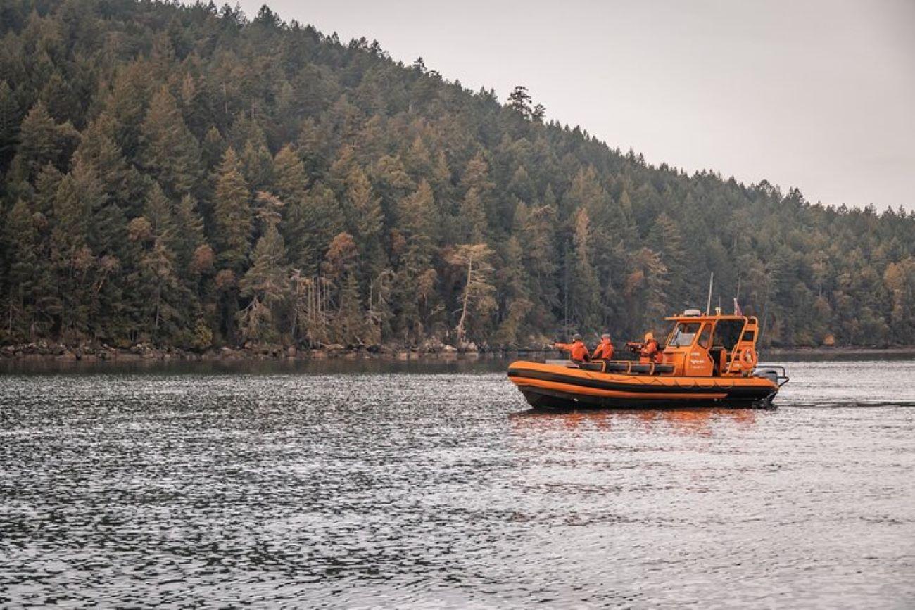 Nanaimo Open Boat Whale Watching Adventure