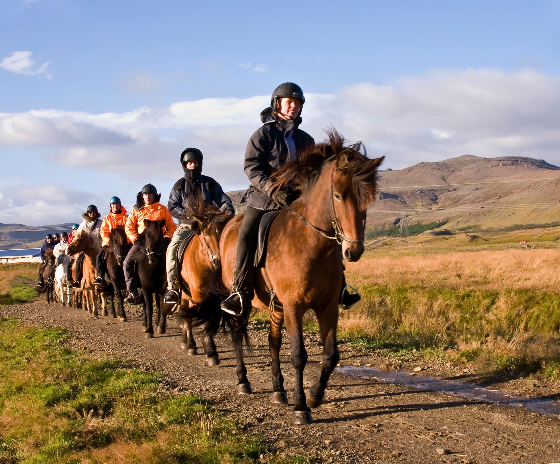 Siggi Horse Riding Adventure in Hveragerdi