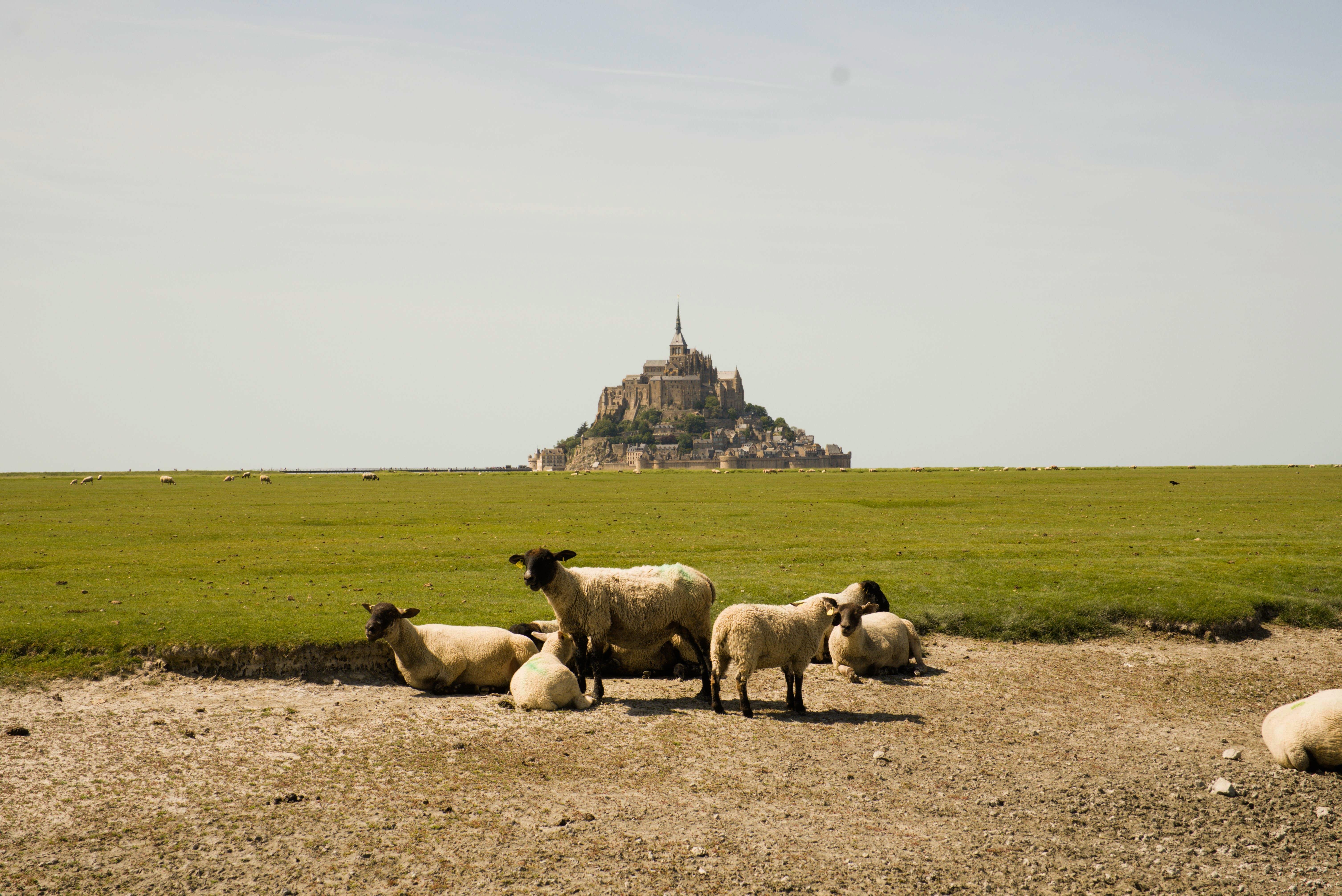 D-Day Landing Sites & Mont Saint-Michel Full-Day Tour