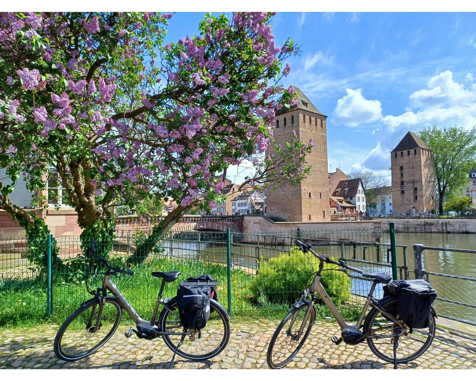 Strasbourg E-Bike Essentials Tour