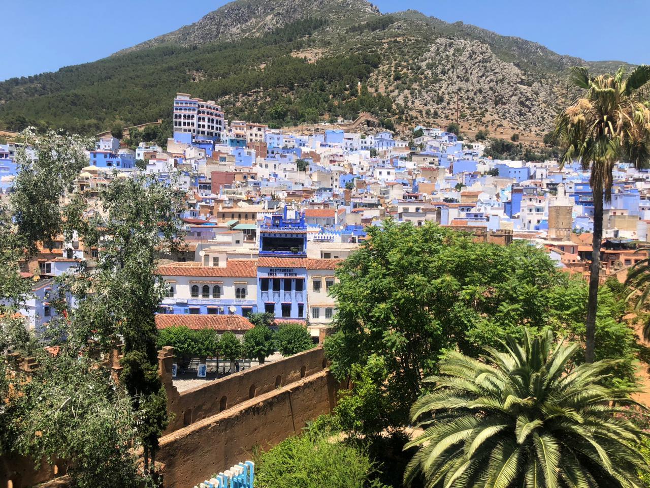 Fez to Chefchaouen One-Way Transfer via Volubilis