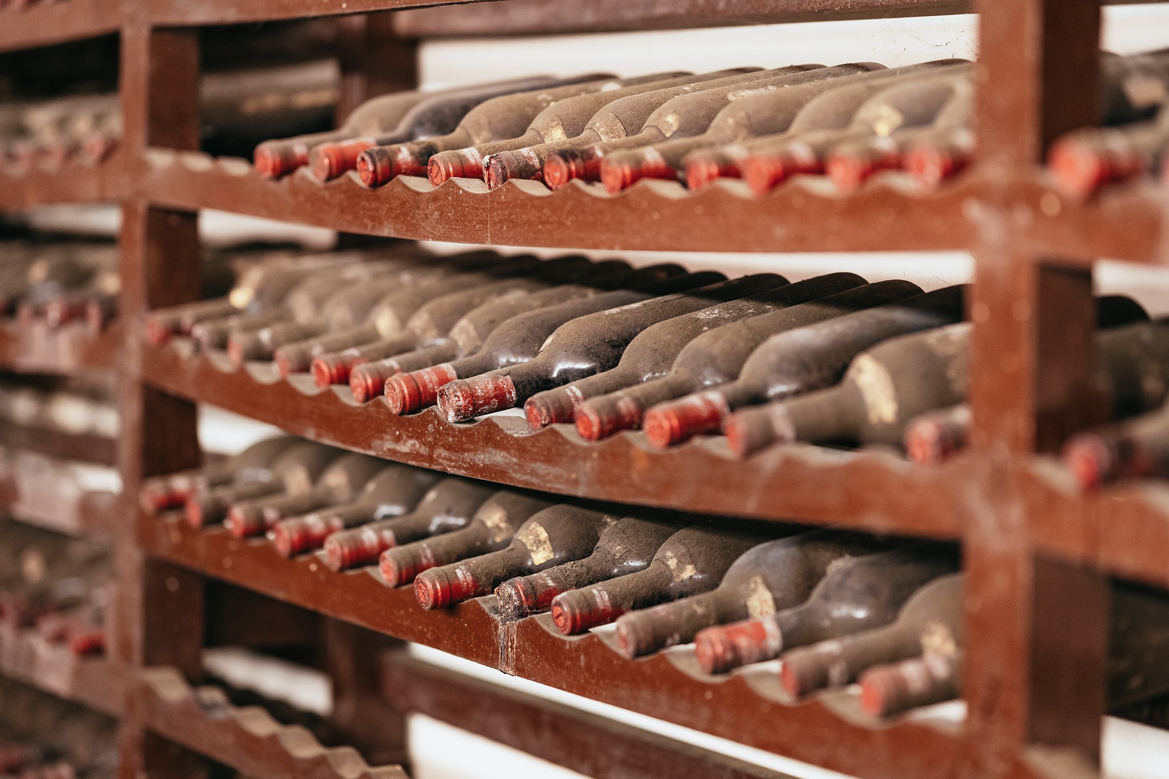 wine tour in Tuscany — photo 18