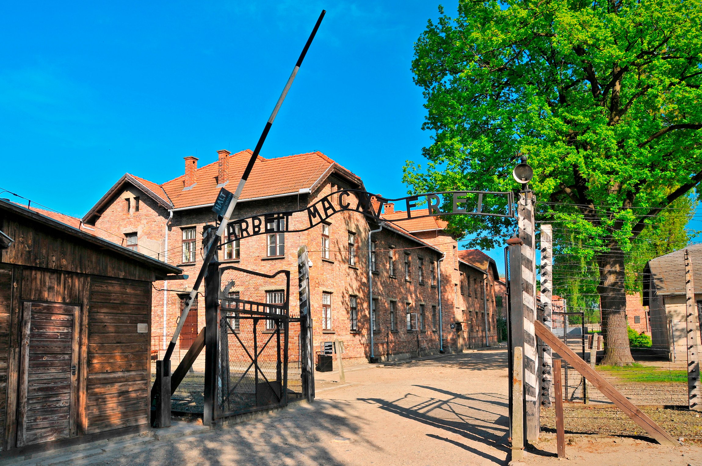 memorial tour in Auschwitz-Birkenau — photo 12