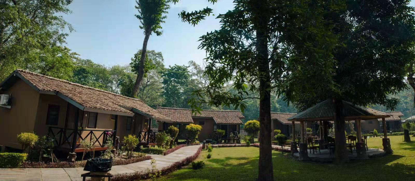 3-Day Private Chitwan National Park Safari from Kathmandu or Pokhara