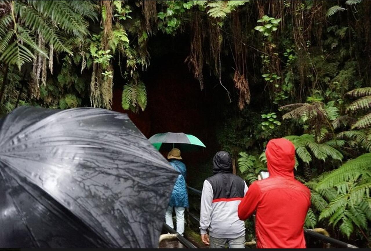 Big Island Hawaii Volcano Day tour from Oahu and Hotel PU — Kilauea and Hawaii Volcanoes National Park scenery (13)