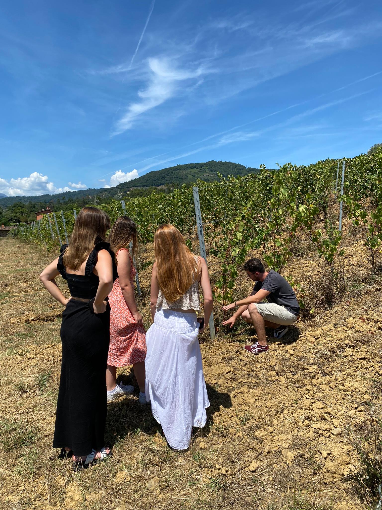 cooking class in Pisa — photo 7