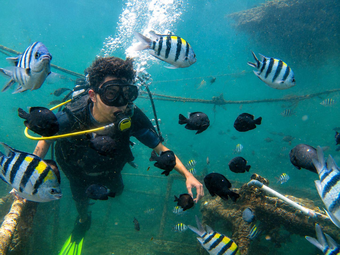 Nusa Dua Sea & Sky Adventure: Scuba Diving + Paragliding