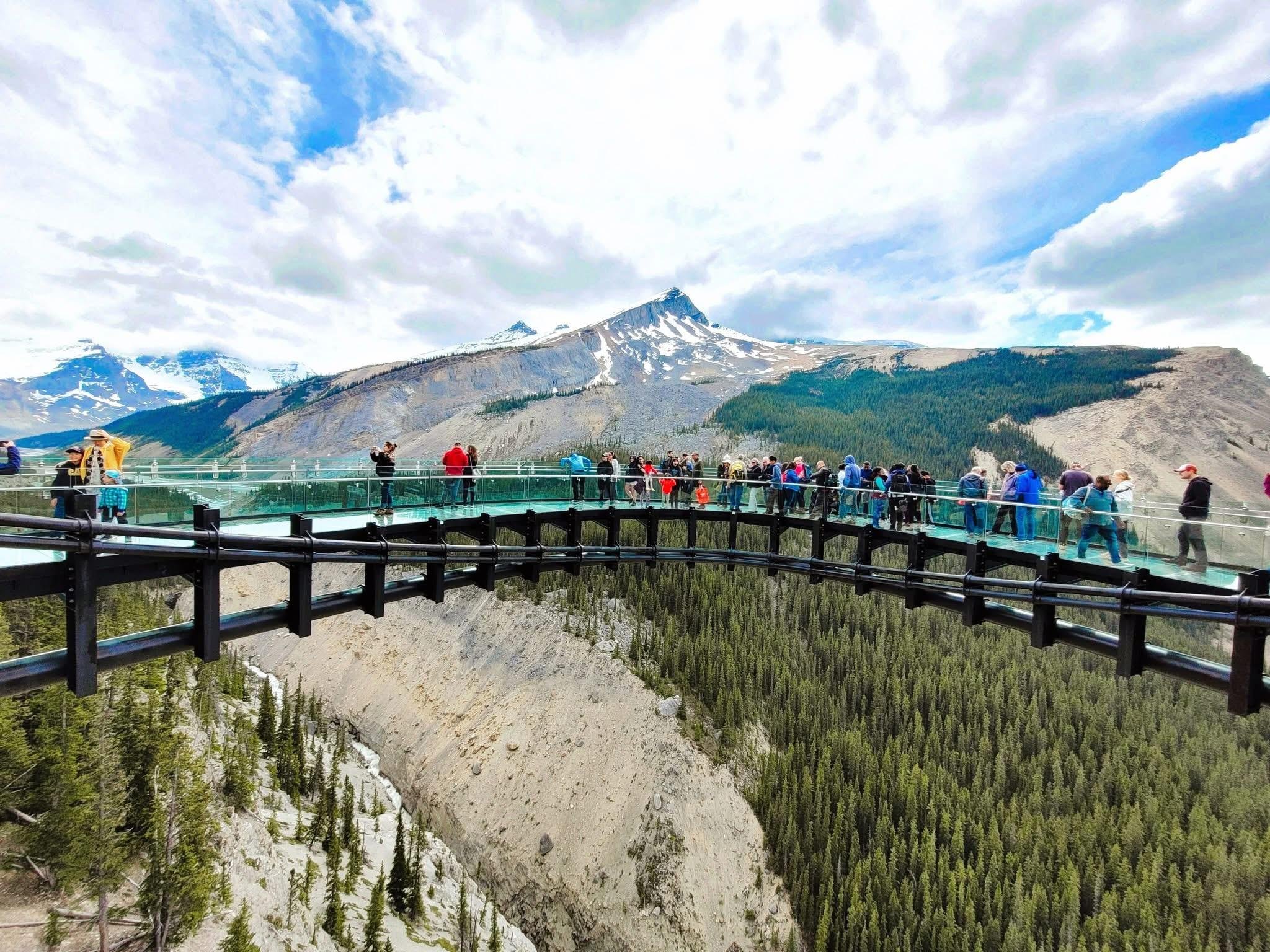 Icefields Parkway tour from Calgary — Columbia Icefield, Peyto Lake and Glacier Skywalk — image 10