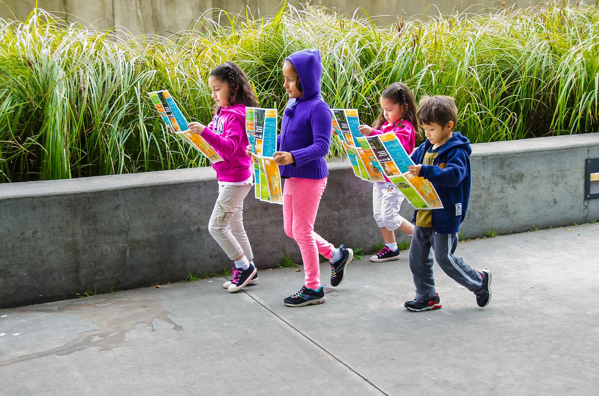Seattle CityPASS attractions — Space Needle, Seattle Aquarium and the harbor — image 6