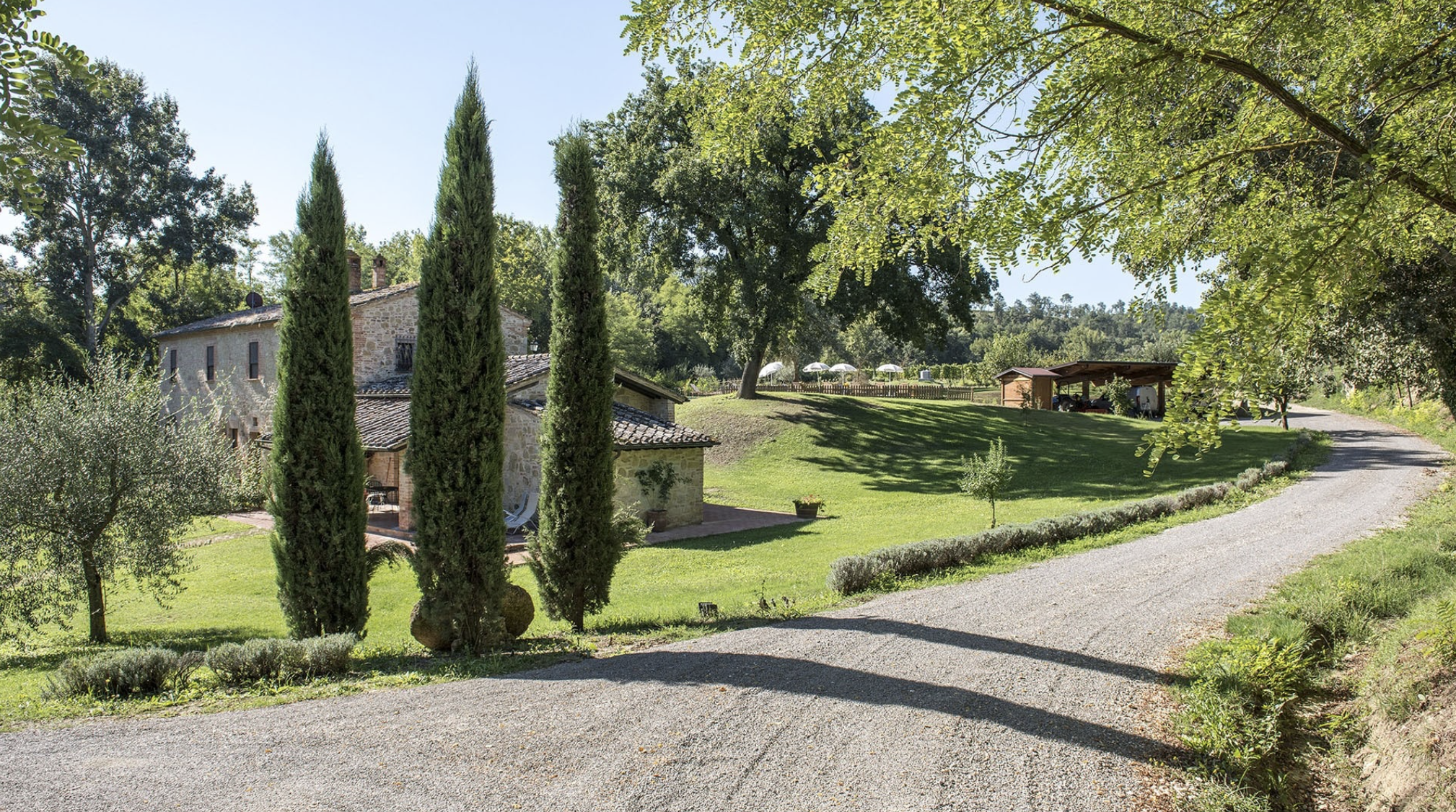 Montepulciano Vineyard Walk & Wine Tasting in a Glass Cabin