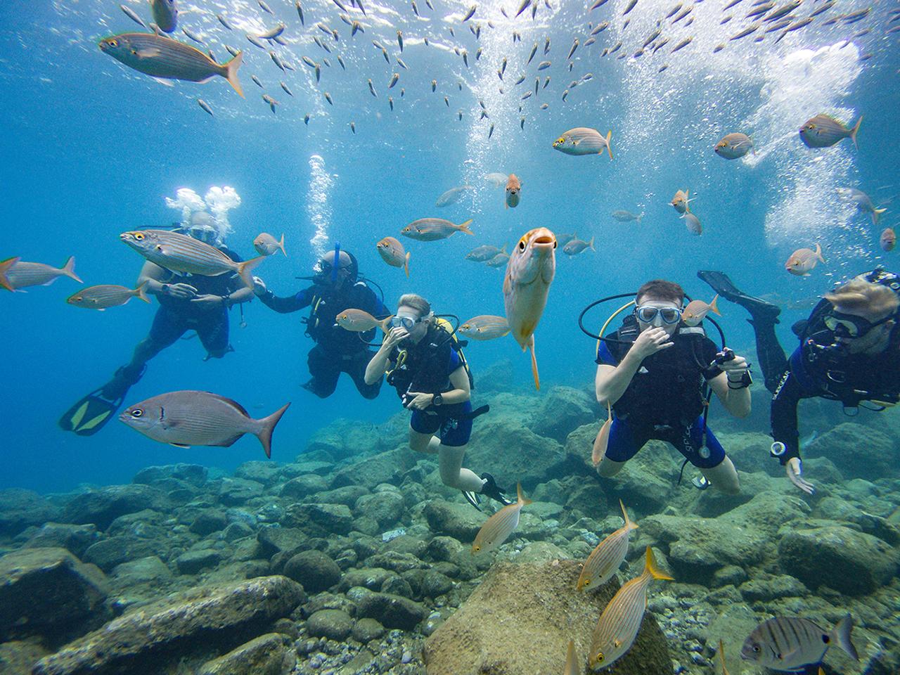 Beginner Scuba Diving Experience in Tenerife