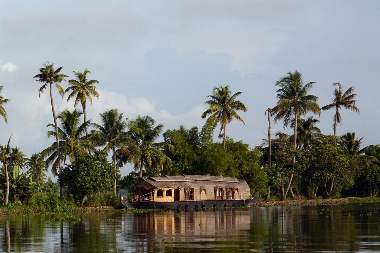 5-Day Private Kerala Highlights: Munnar, Thekkady & Alleppey