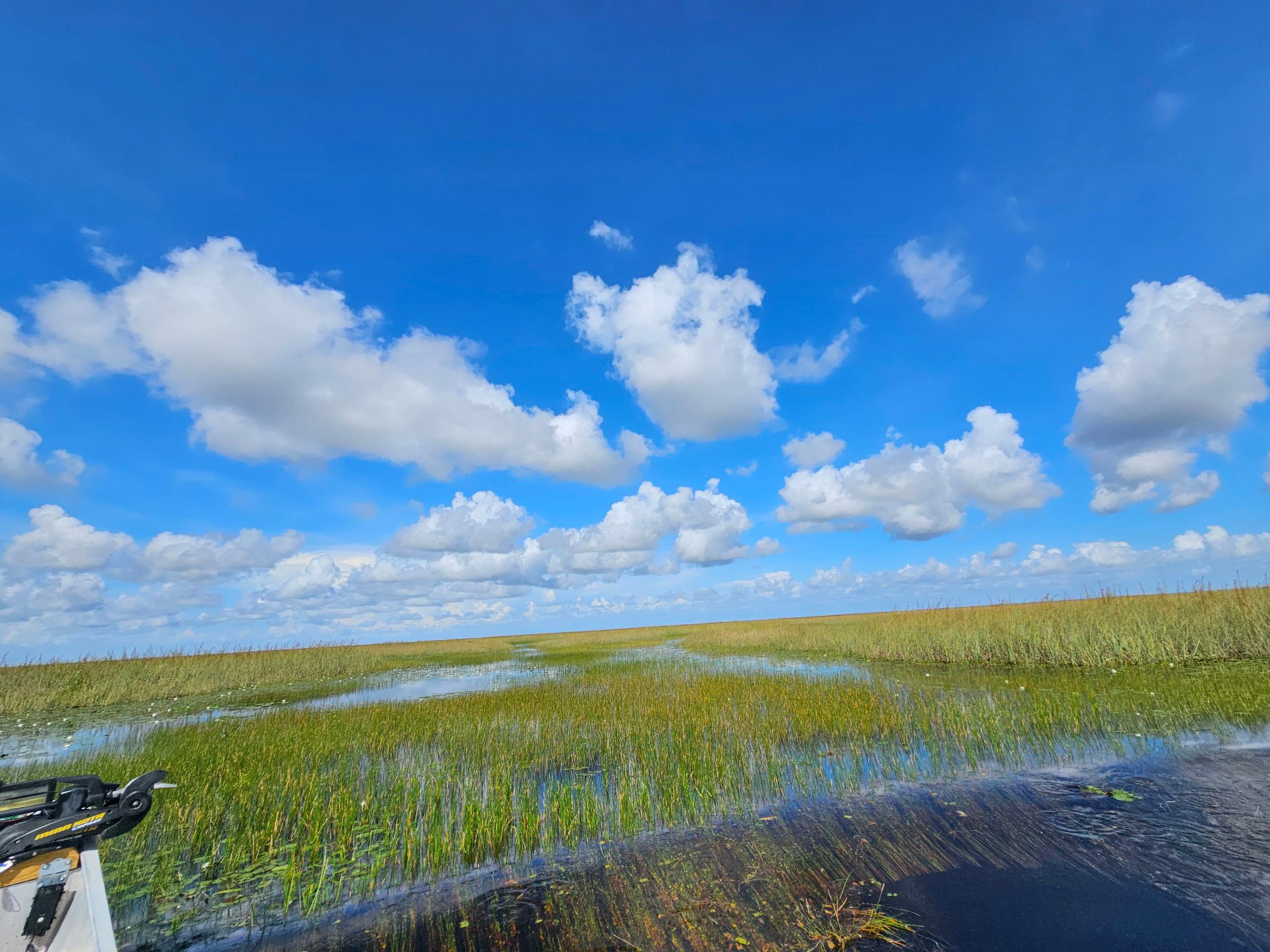 Everglades Airboat Adventure with Miami Transportation