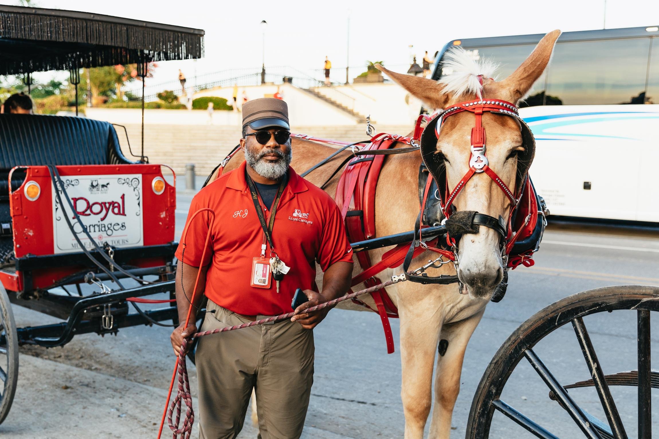French Quarter Mule-Drawn Carriage Tour