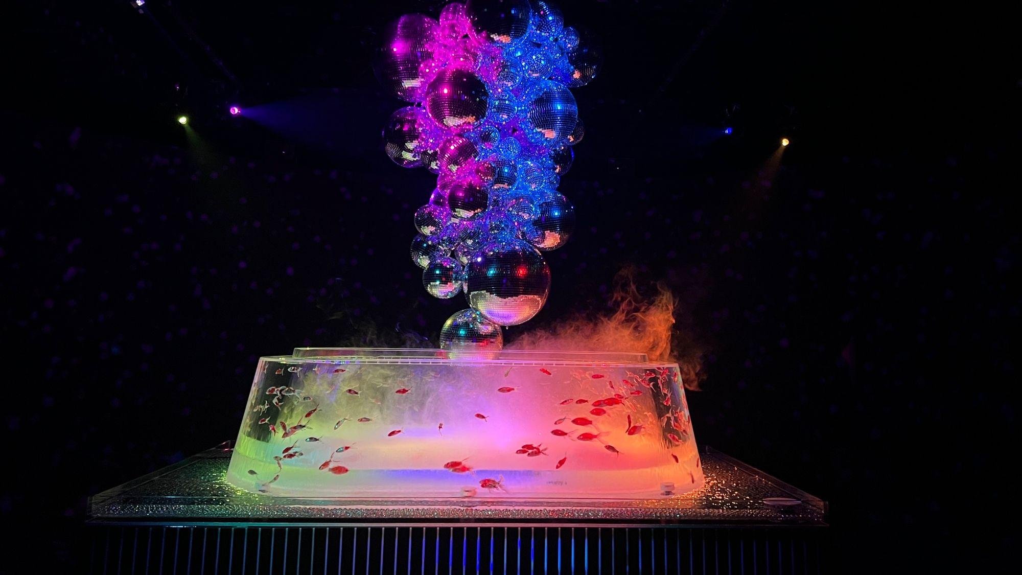 Art Aquarium Museum GINZA Entry Ticket