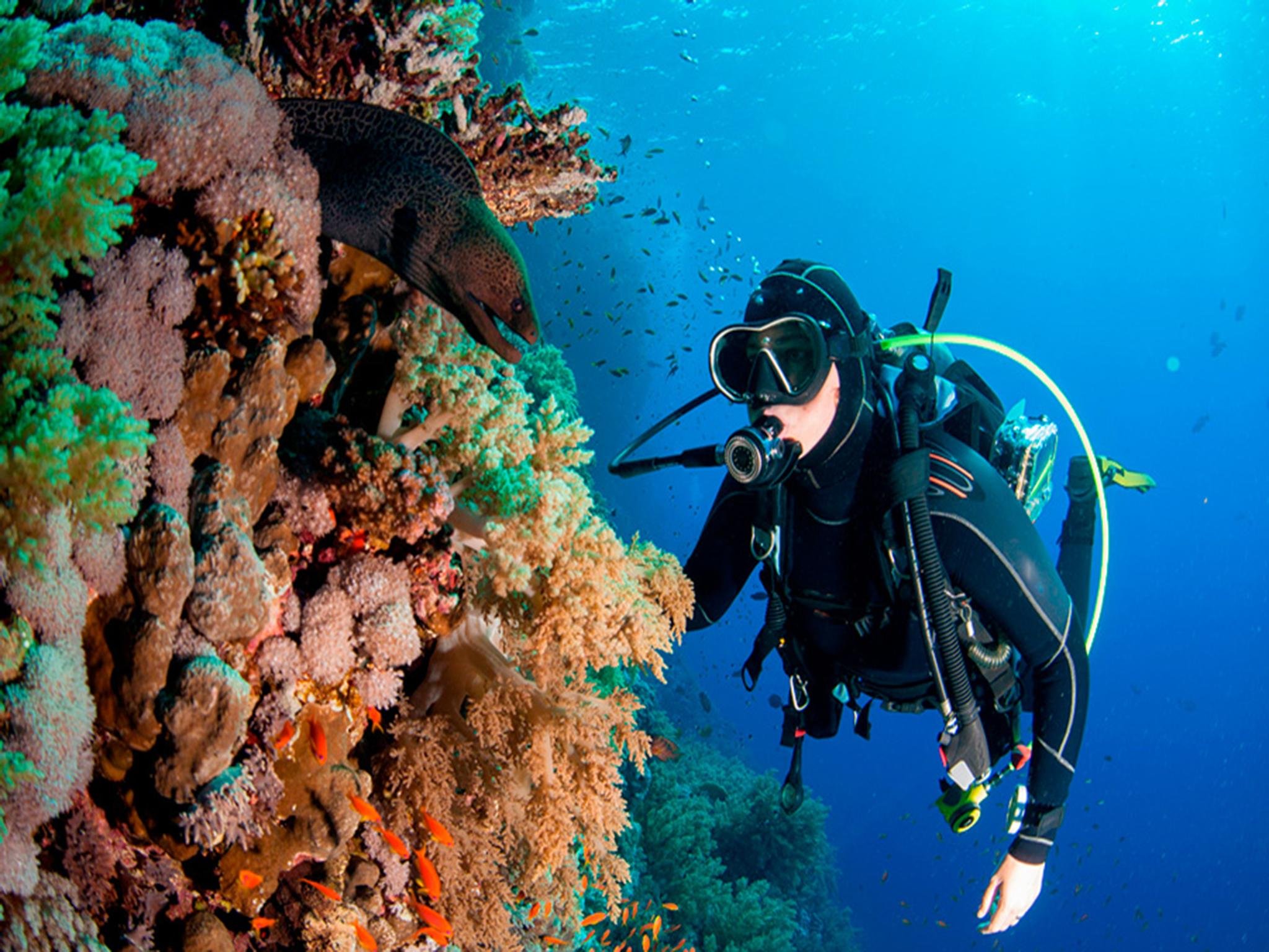Catalina Island Scuba Diving Adventure with Beach Lunch