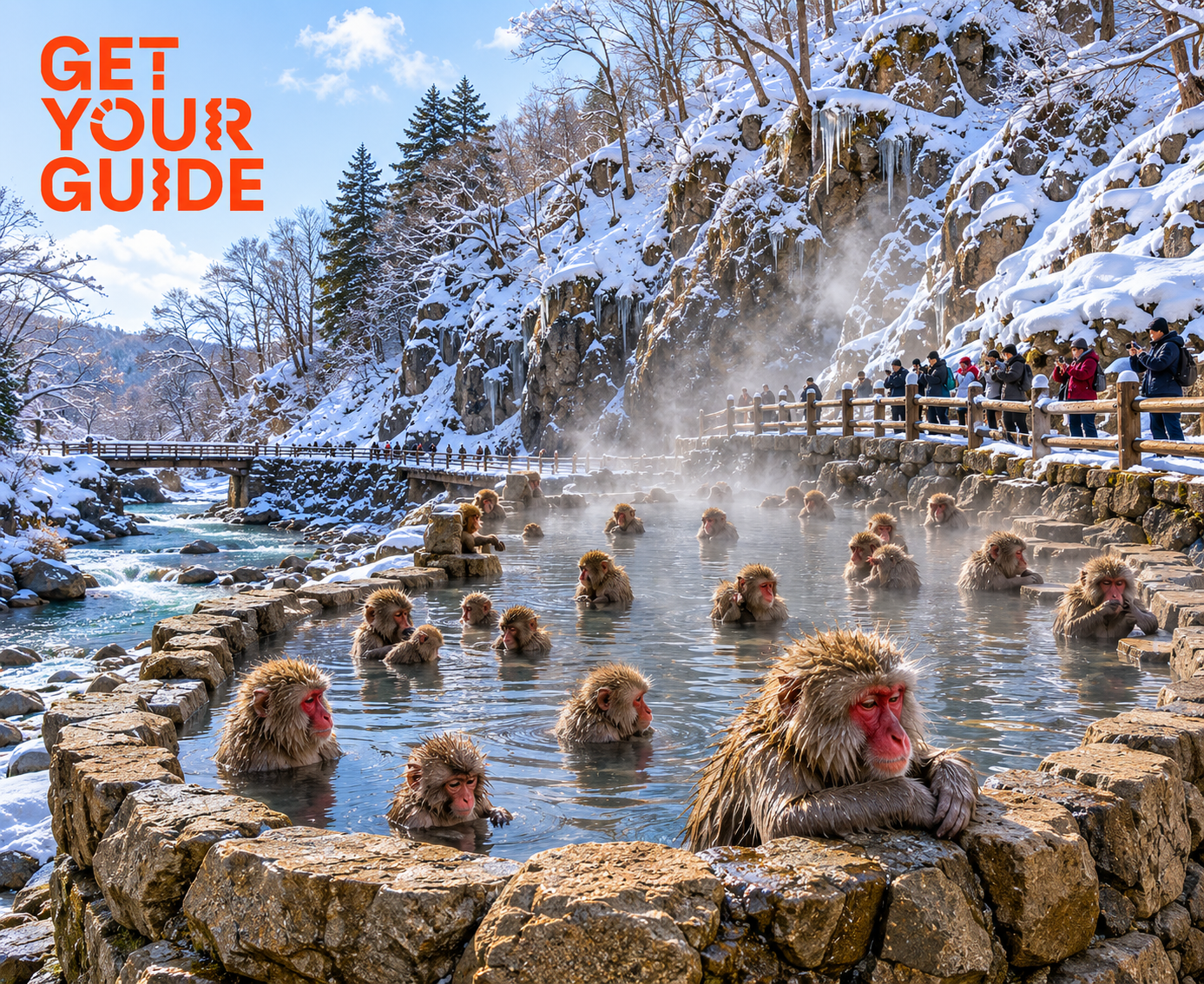 Tokyo:Snow Monkeys & Nagano Customizable Private Guided Tour - 2026 (Verified Reviews)