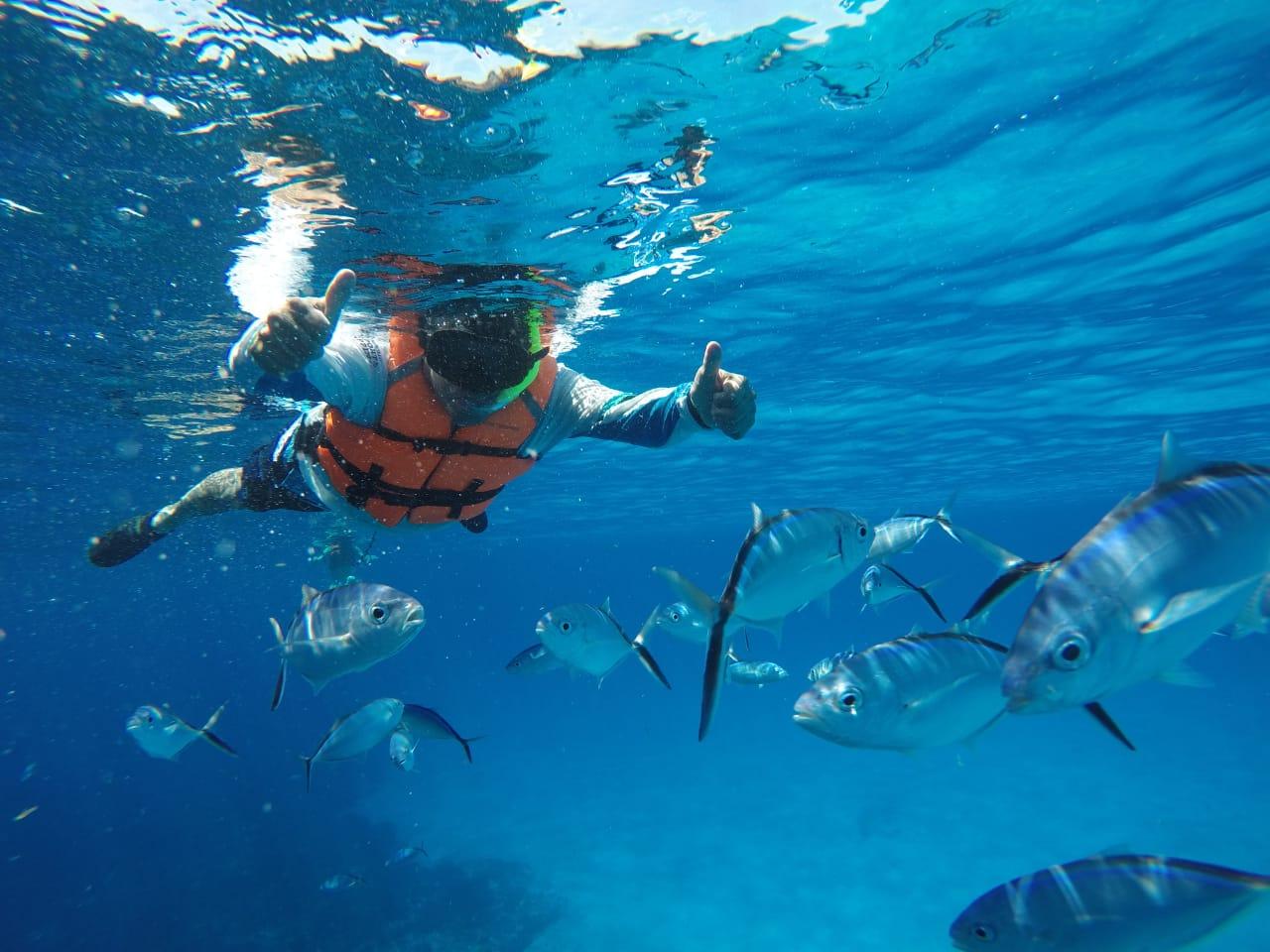 Cozumel Marine Discovery: Snorkel Reefs, Starfish & Sea Turtles
