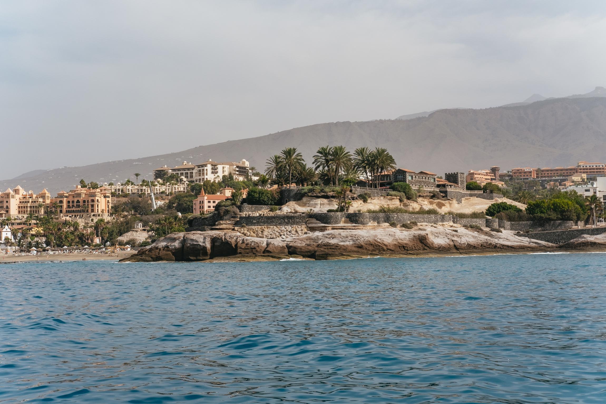 Eco-Friendly Whale & Dolphin Catamaran Cruise in Costa Adeje