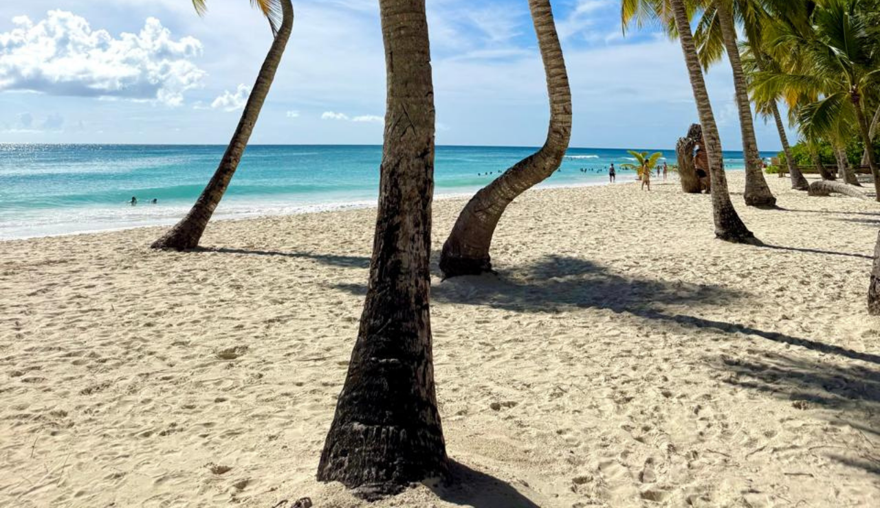 Saona Island Catamaran & Natural Pool Day Trip