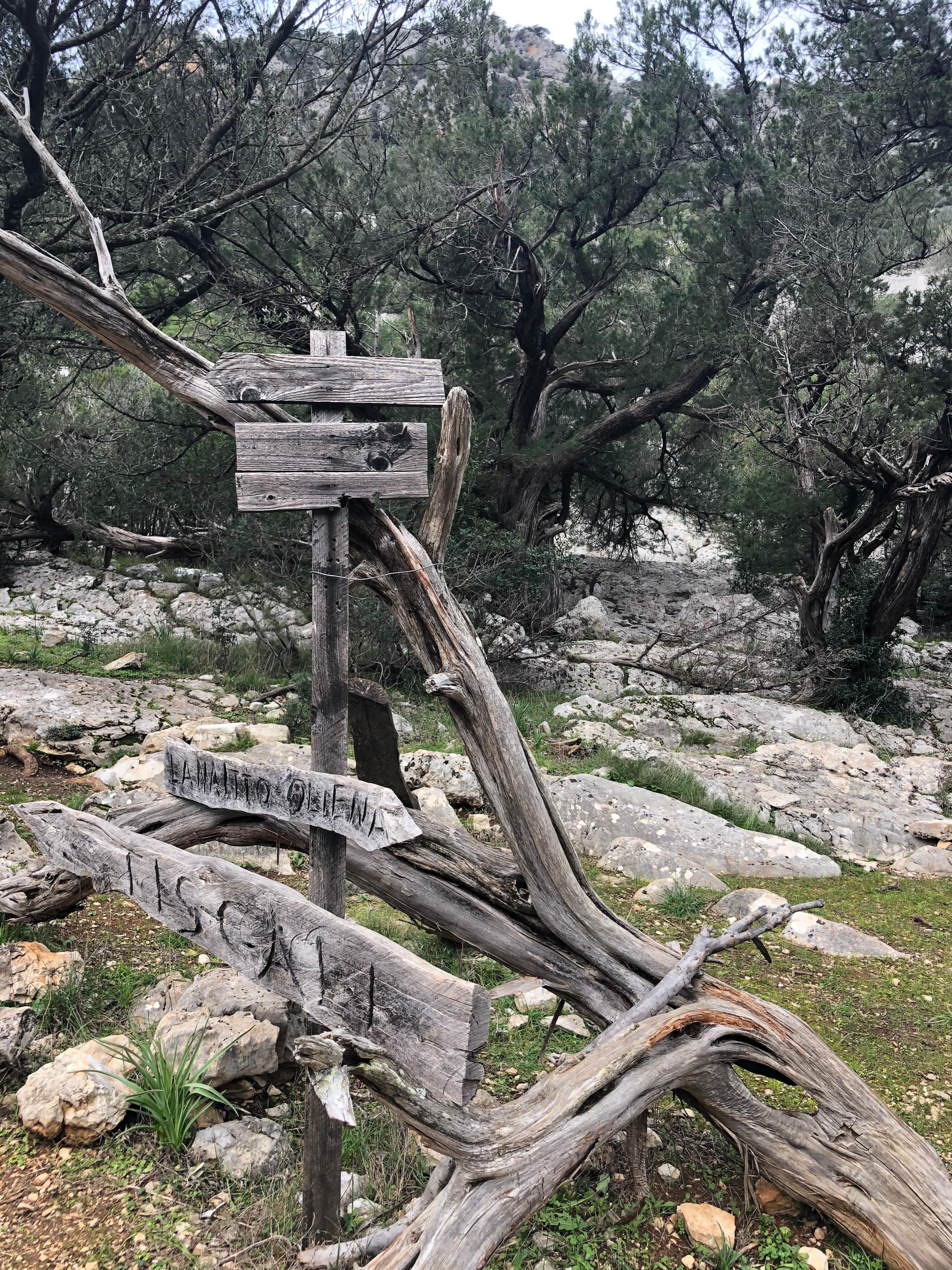 Dorgali: Tiscali Nuragic Village Guided Hike with Lunch - Tiscali, Supramonte, Sardinia