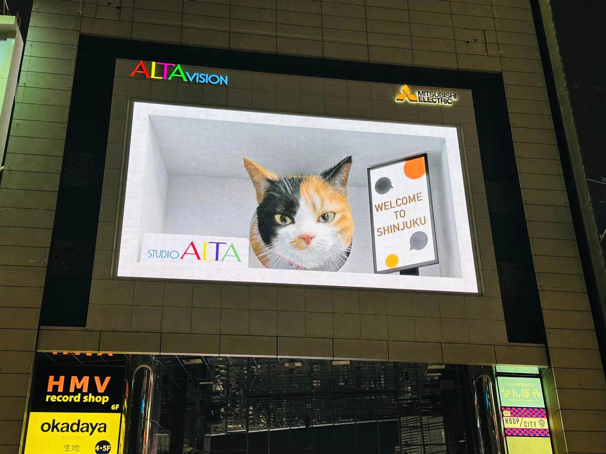Tokyo Night Walk: Shibuya & Shinjuku in 4 Hours