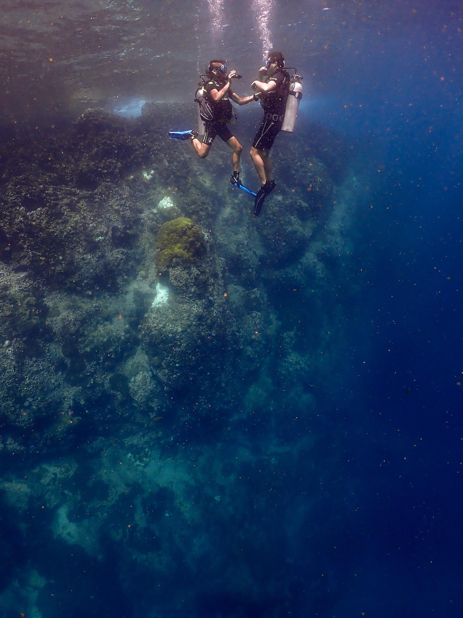 Koh Samui Discovery Scuba Experience: Sail Rock or Koh Tao