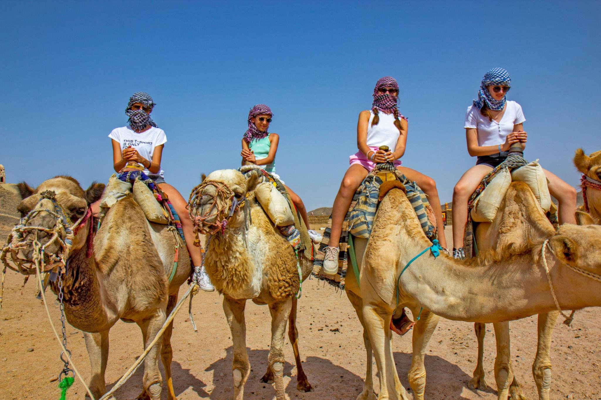 Agadir Camel Trekking Adventure with Refreshments