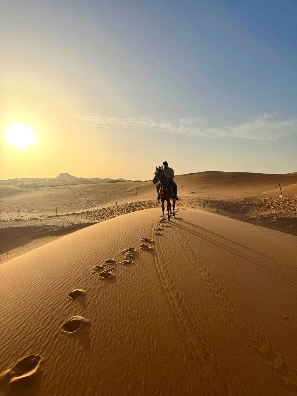 Desert Horseback Riding Adventure in Riyadh