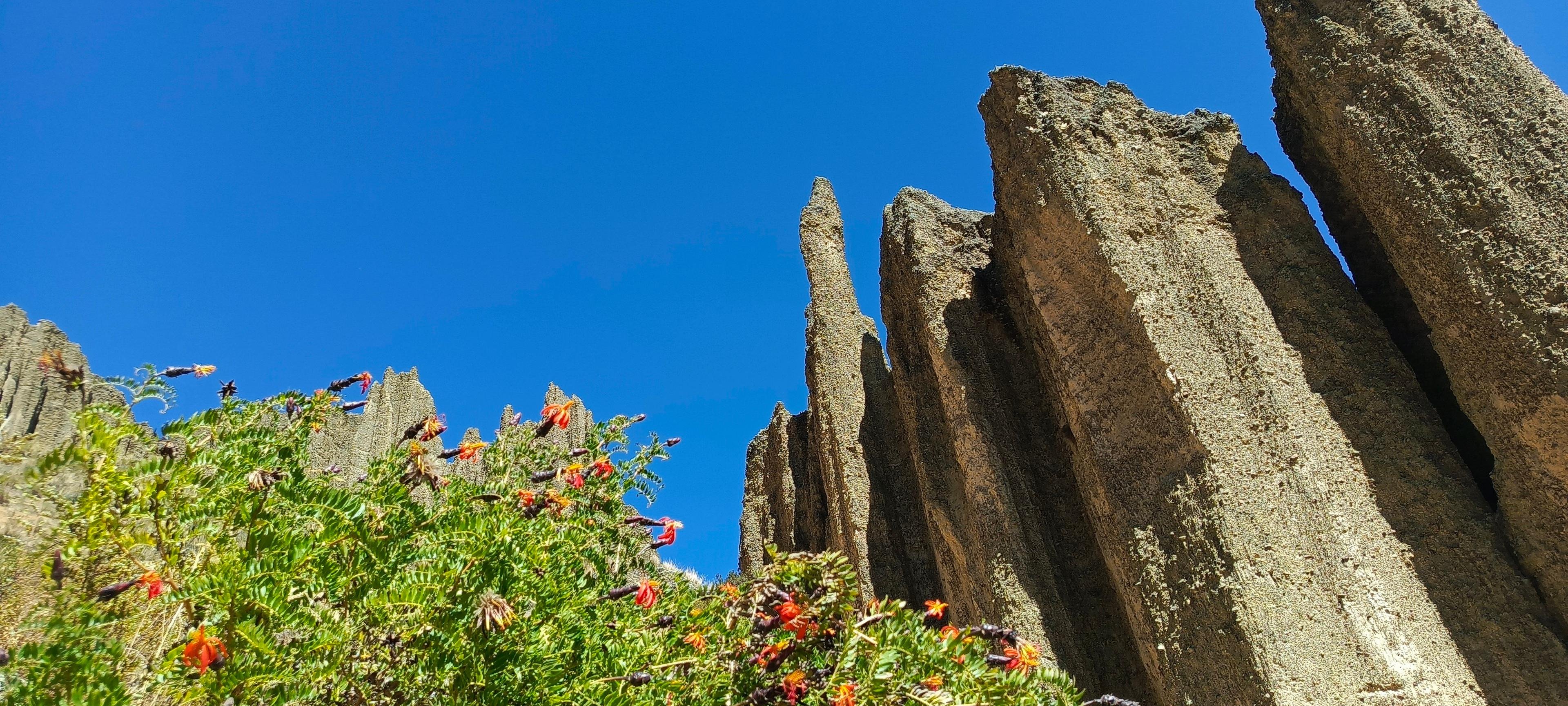 Aventure d'une demi-journée : Valle de las Animas, Vallée de la Lune et Killi Killi