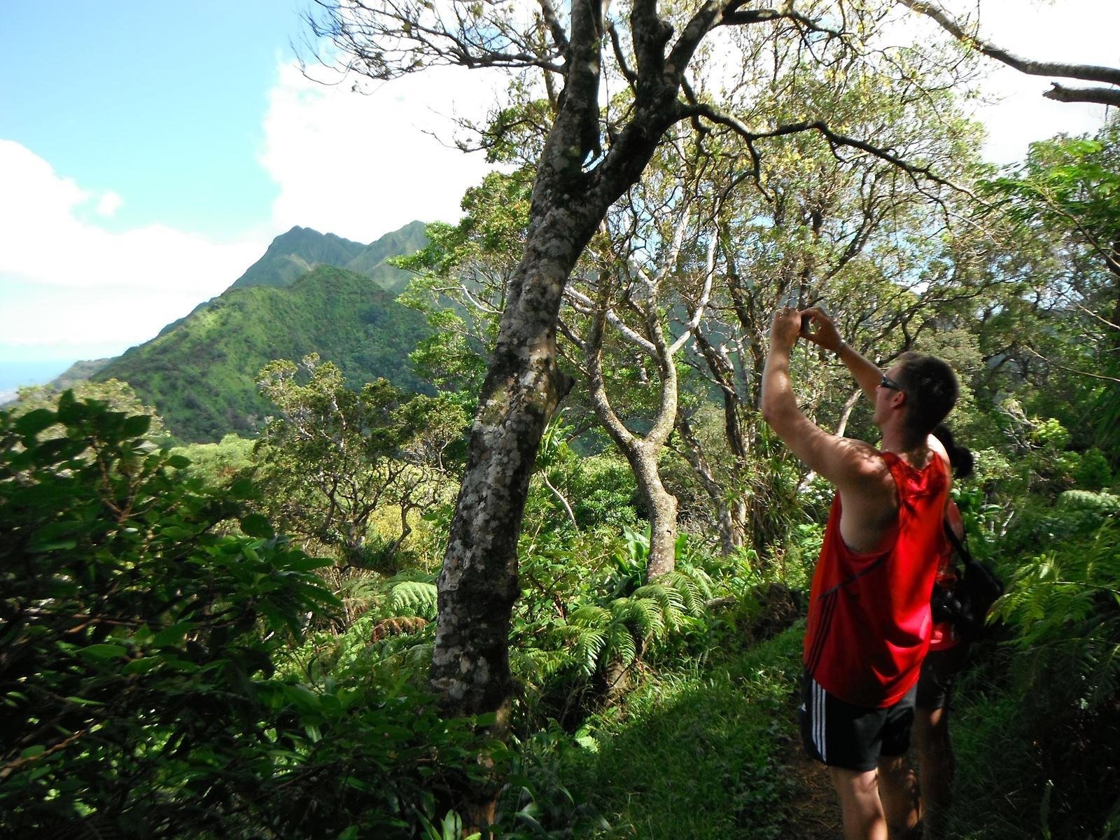 Honolulu Volcanic Rainforest Trek