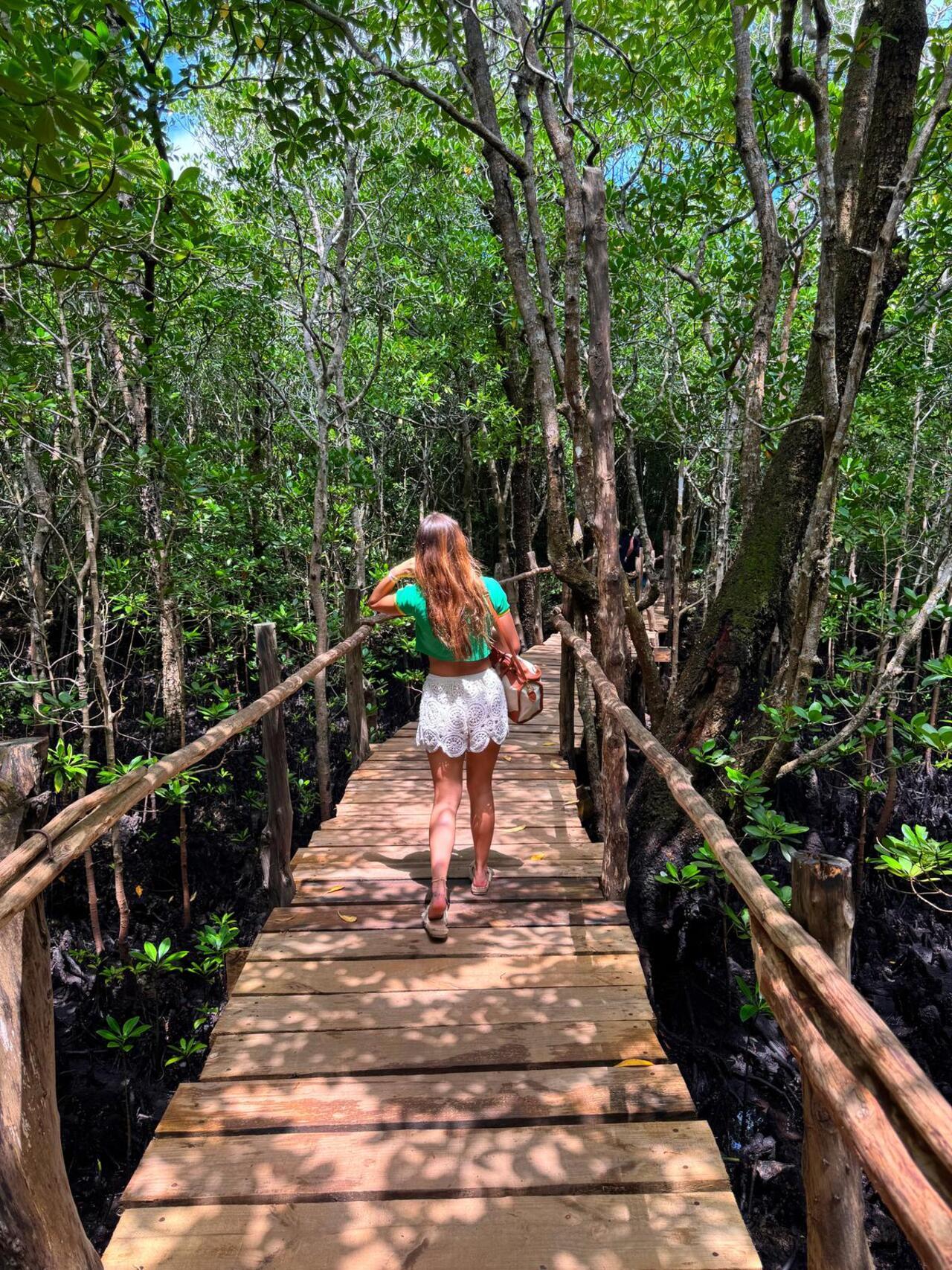 Zanzibar: Jozani Forest & Salaam Cave Sea Turtle Tour