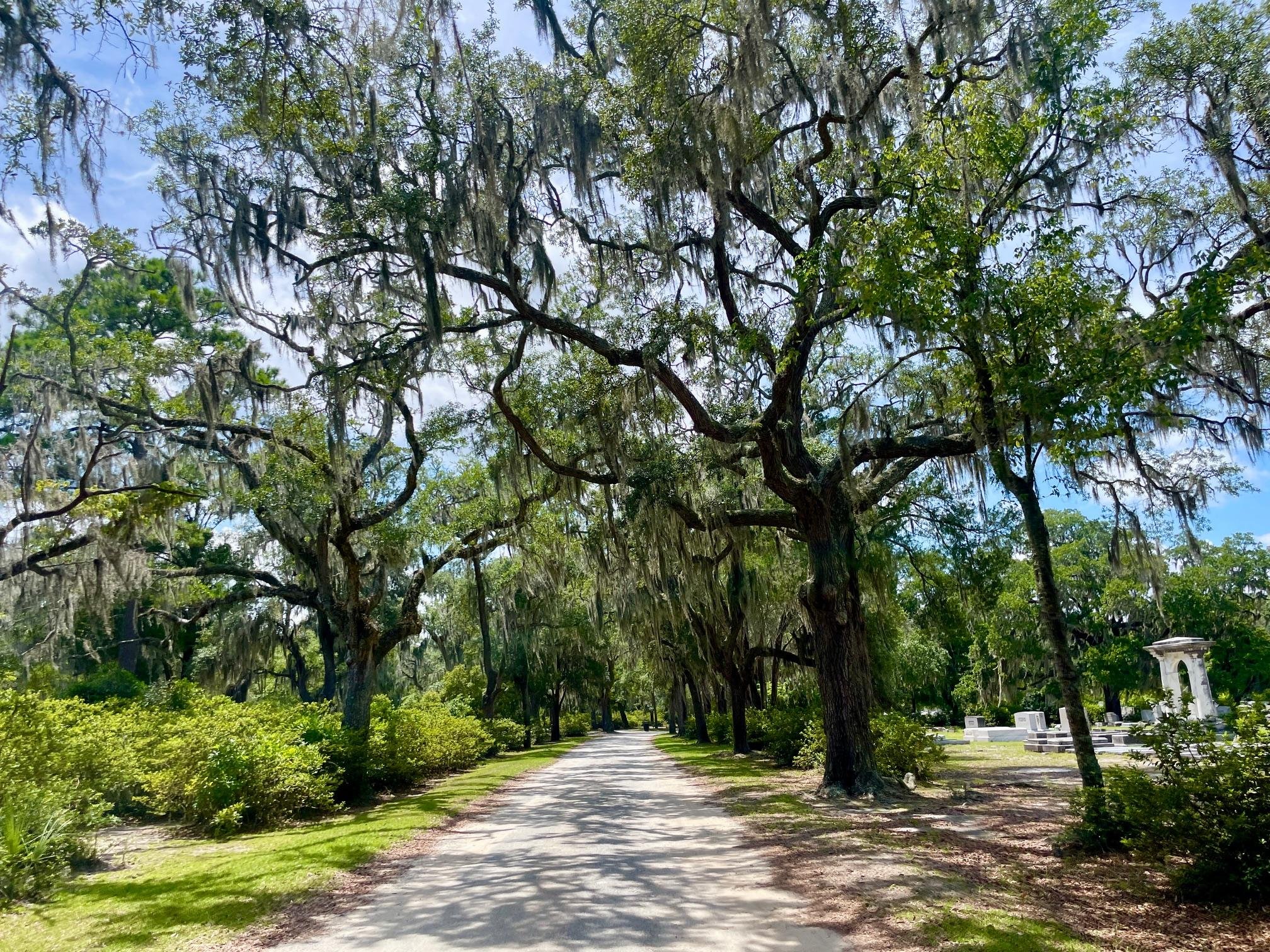 Bonaventure Cemetery Guided Golf Cart Tour
