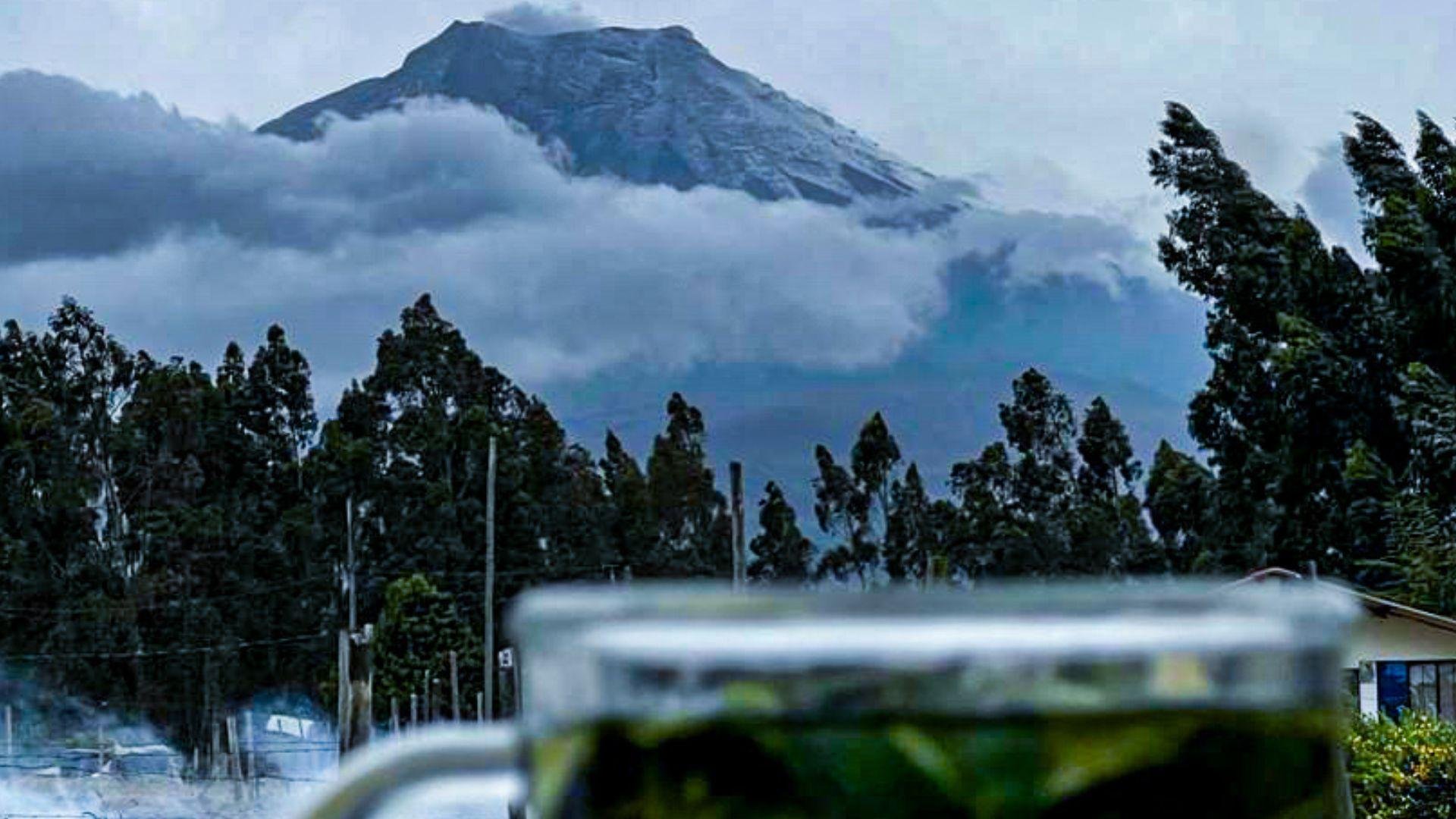 Cotopaxi Volcano Day Trip from Quito with Alpacas & Lagoon