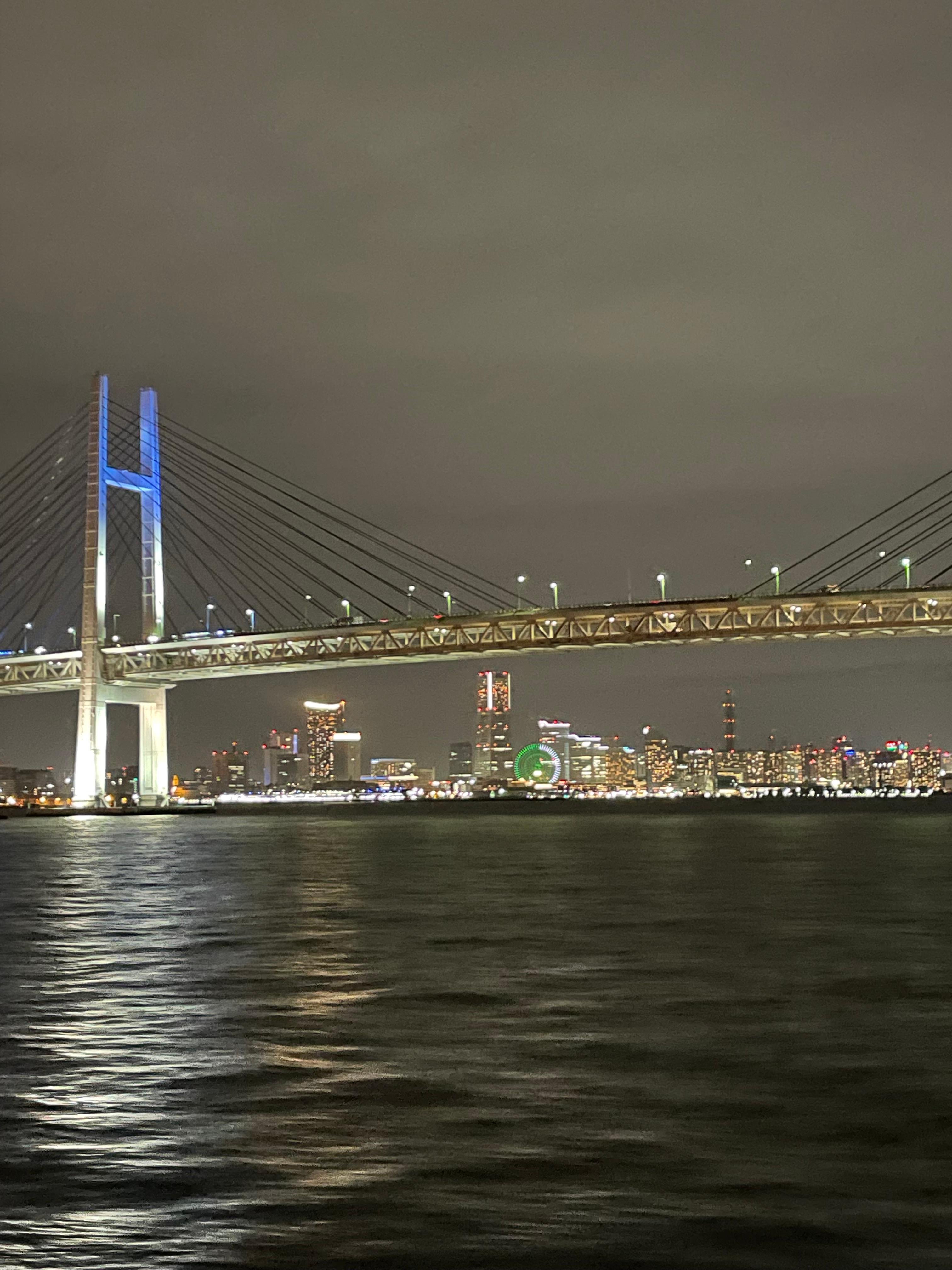 Tokyo・Yokohama: JDM Night Cruise with Mercedes-Benz E43 AMG